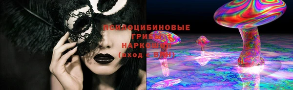 прущие крисы Абинск