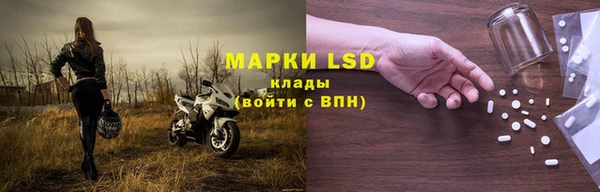 крисы Абаза