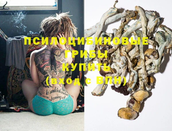 крисы Абаза