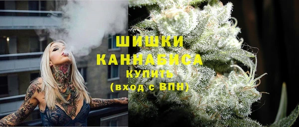 крисы Абаза