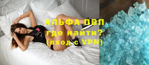 крисы Абаза